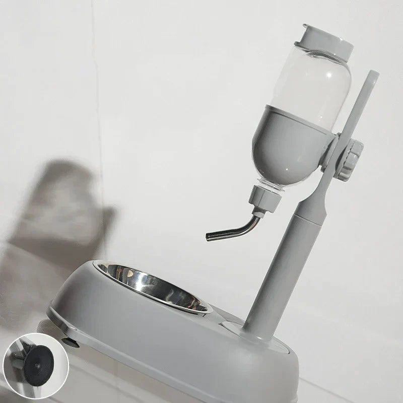 Pet Water Fountain Tools: Elevate Your Pet’s Hydration Experience