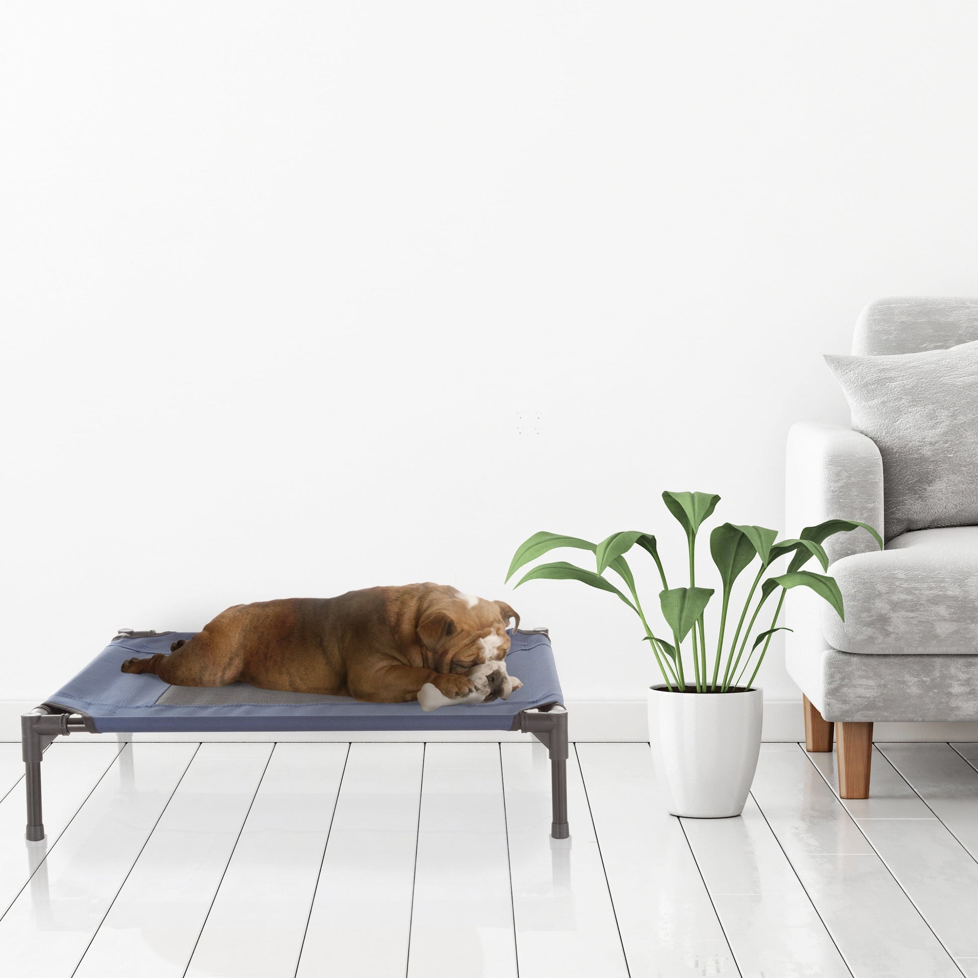 30x24 Portable Elevated Pet Bed: Ultimate Comfort for Your Furry Friend!