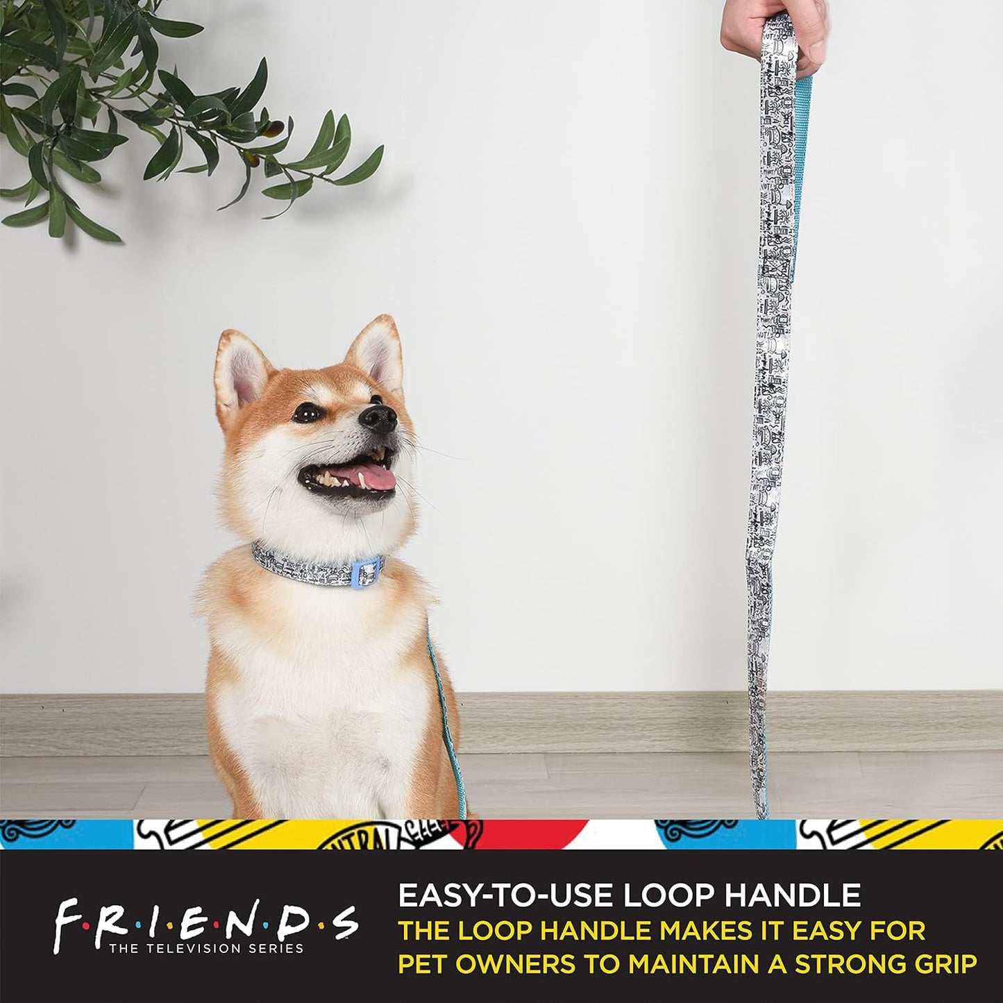 City Doodle 4 Ft Dog Leash – Cute & Durable Blue Leash, Easily Attaches to Any Collar or Harness. Perfect for All Dogs!