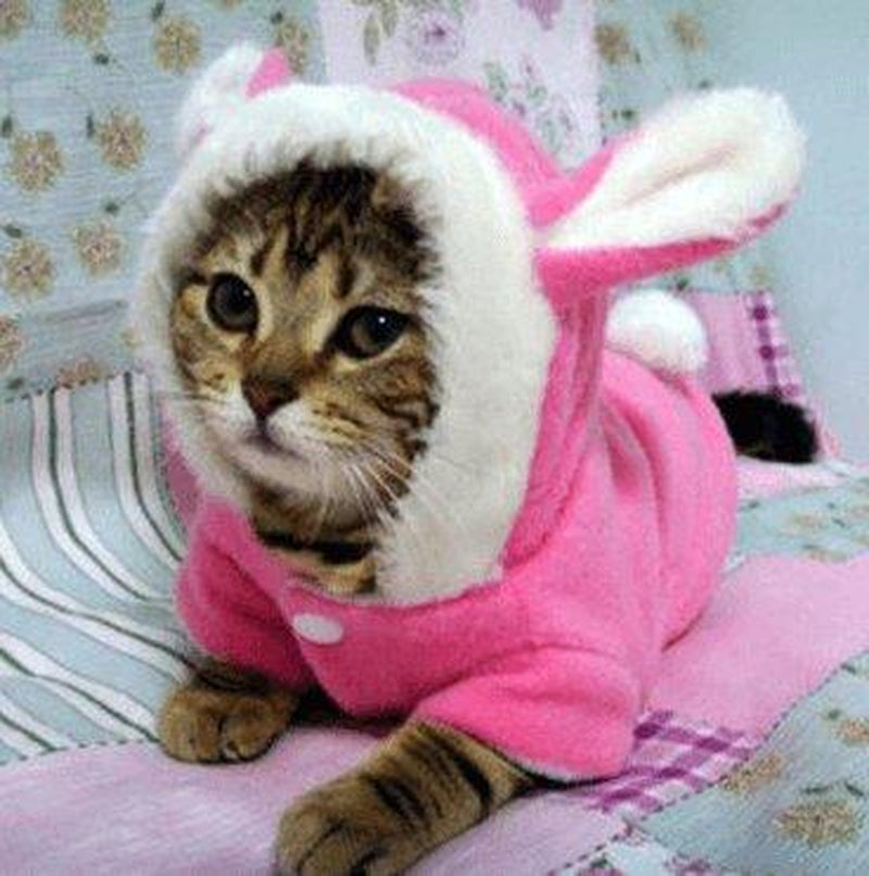 Cozy Bunny Cat Hoodie - Warm and Adorable Pet Cat Clothes