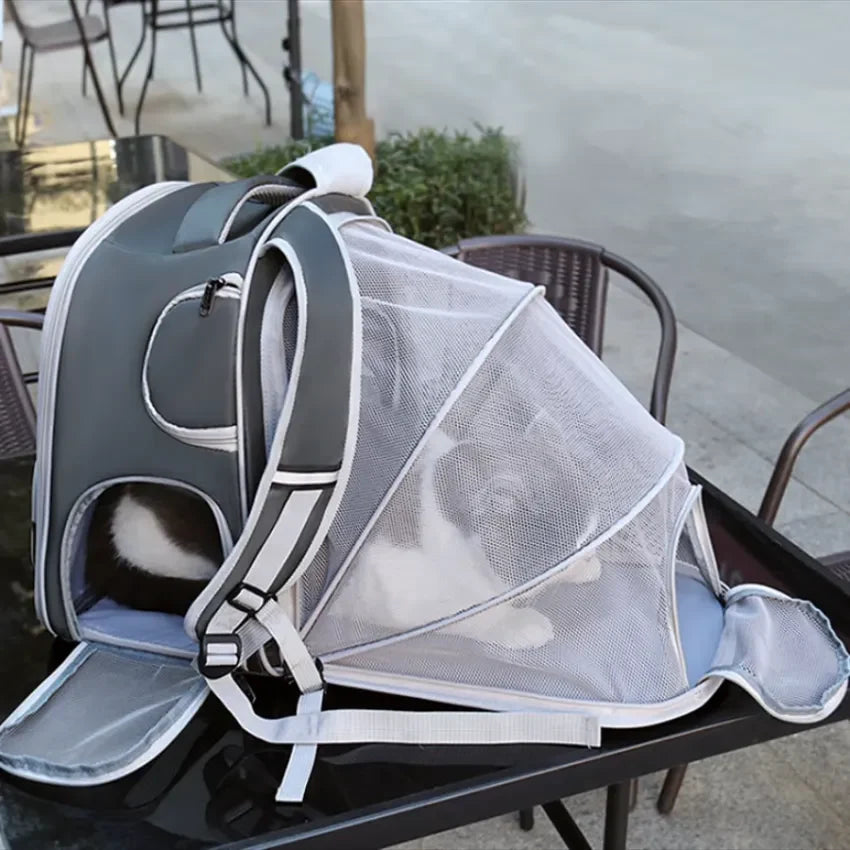 Ultimate Cat Adventure: Expandable Tent Backpack for On-the-Go Comfort!