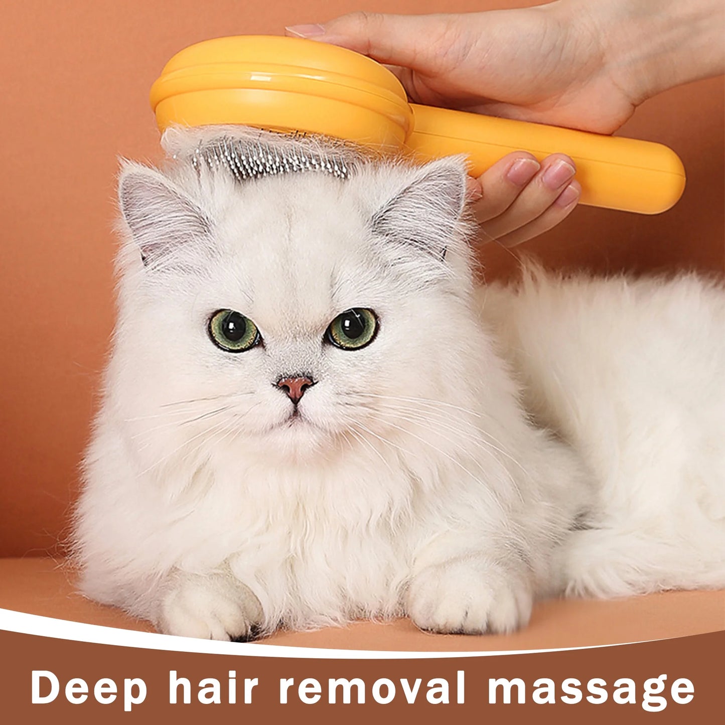 Massage & Groom: Resin-Protected Self-Cleaning Brush for Indoor Cats