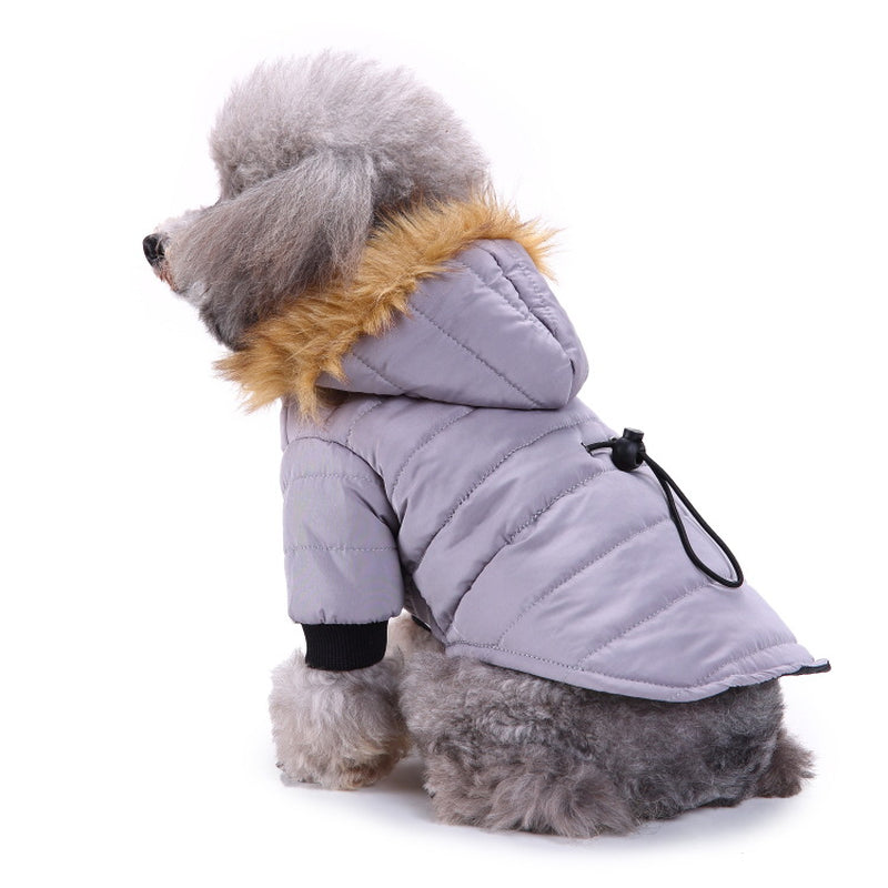 Cozy Up Your Pet: Stylish Winter Clothing Collection for Pets