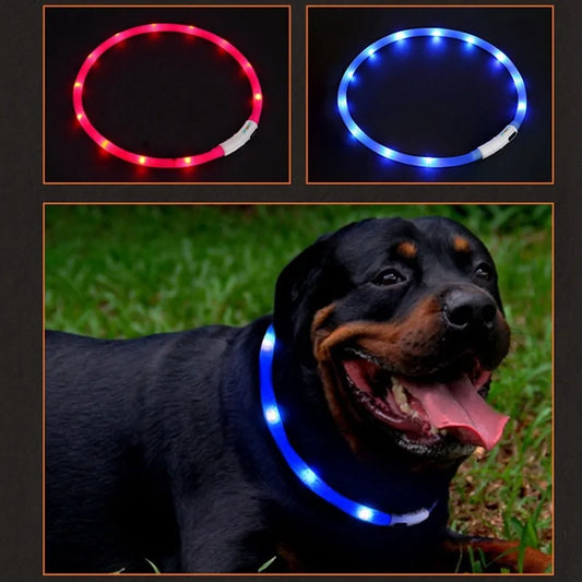 Illuminate Pet Safety Collar – Brighten Up Your Pet's Safety!