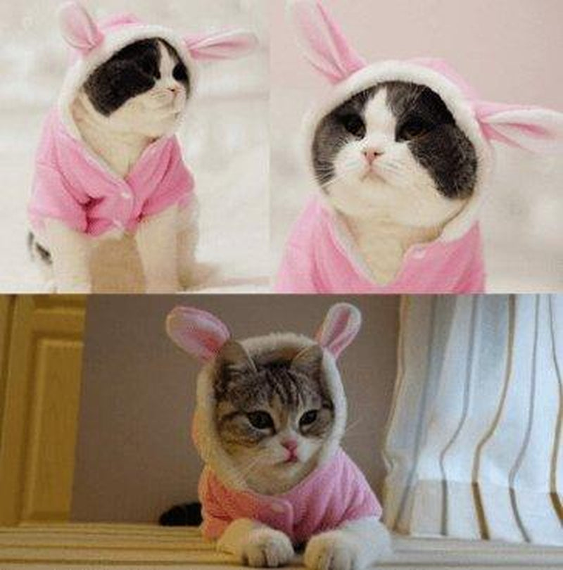 Cozy Bunny Cat Hoodie - Warm and Adorable Pet Cat Clothes