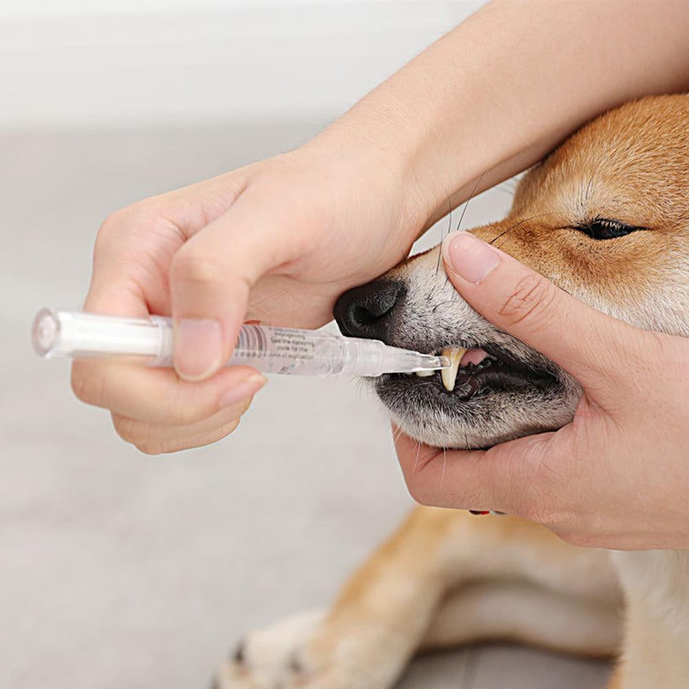 Pet Teeth Repairing Kit for Dogs and Cats