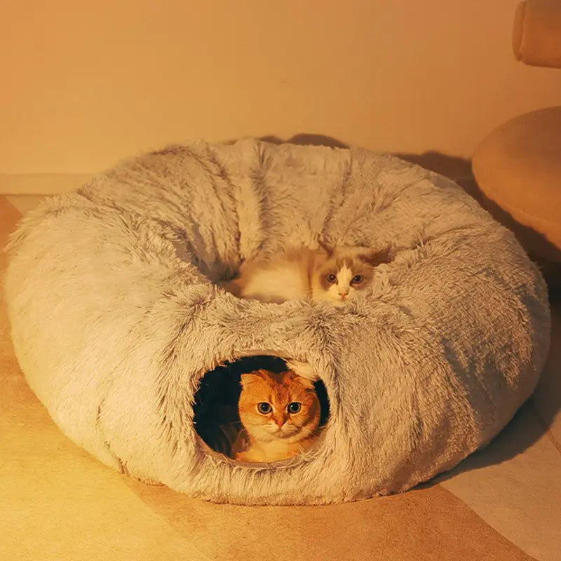 Luxury Foldable Cat Bed & Tunnel – Plush, Space-Saving, and Fun for Cats