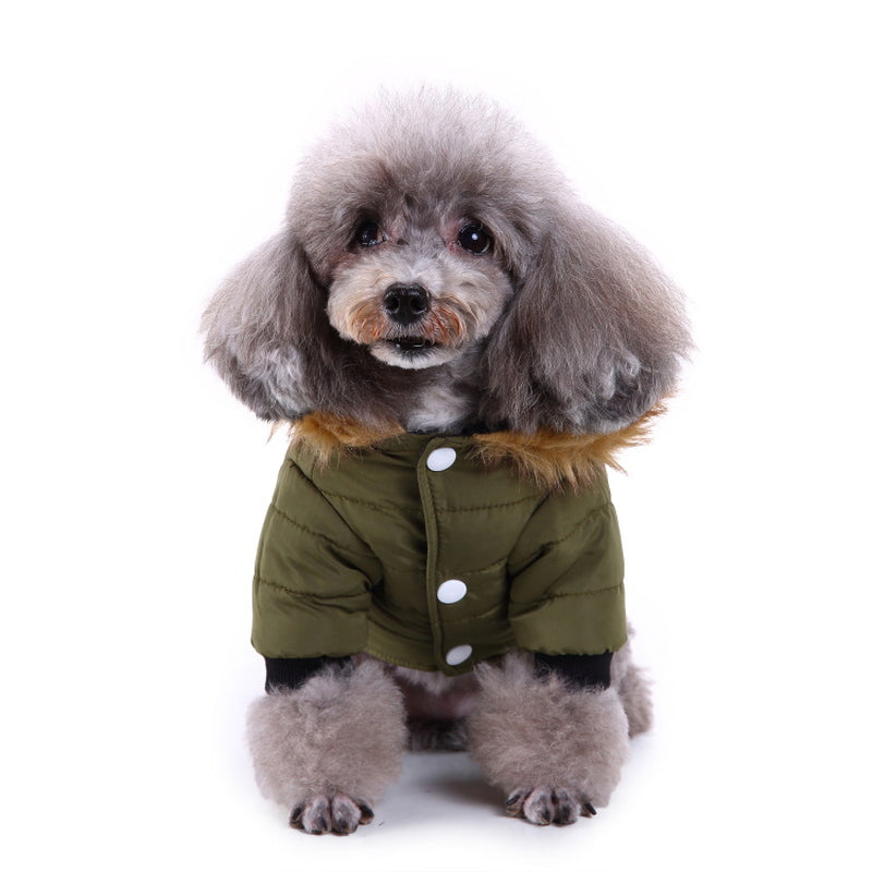 Cozy Up Your Pet: Stylish Winter Clothing Collection for Pets