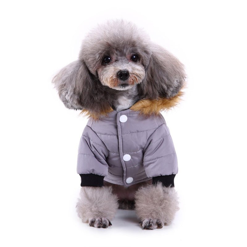 Cozy Up Your Pet: Stylish Winter Clothing Collection for Pets