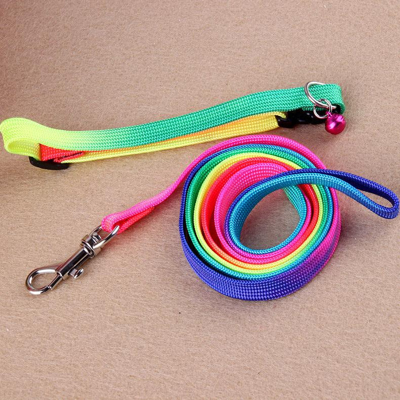 Rainbow Round Cat Collar & Leash | Durable & Stylish Cat Leash for Outdoor Adventures