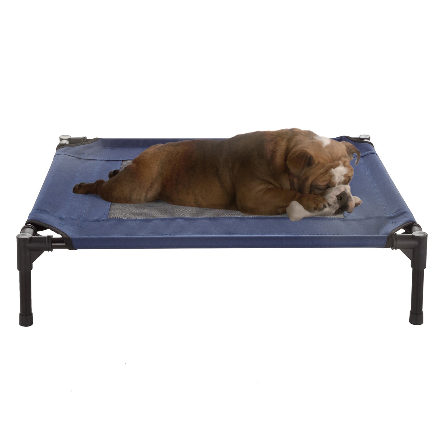 30x24 Portable Elevated Pet Bed: Ultimate Comfort for Your Furry Friend!