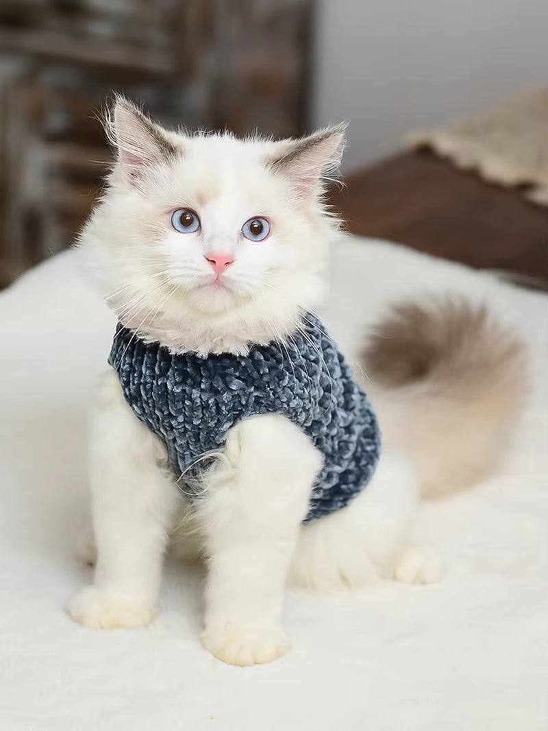 Cat Clothes Winter Warm Handmade Knitted Sweater 