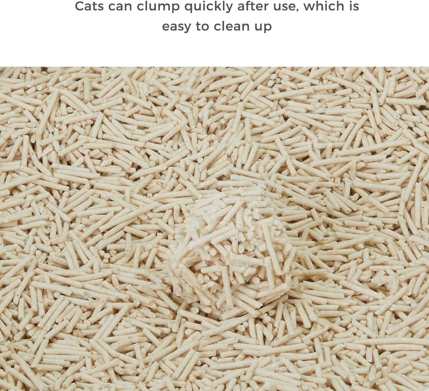 CHOWSING Tofu Litter 6LB Tofu Cat Litter Dust-Free Clumping Cat Litter Quickly Absorb Cat Odors Cat Toilet Can Flush into the Toilet Pure Natural Cat Tofu Litter (Original Flavor)