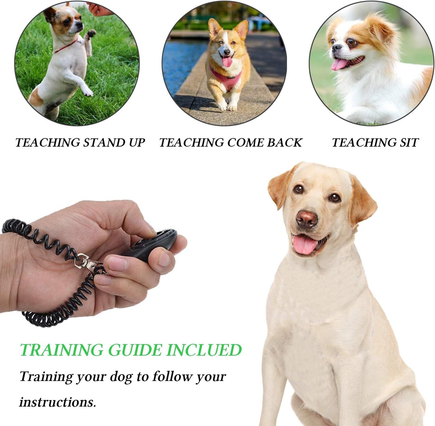 4-in-1 Dog Training Set – Includes Treat Pouch, Whistle, Doorbells, and Clicker – Perfect Gift for New Pet Owners (Black)