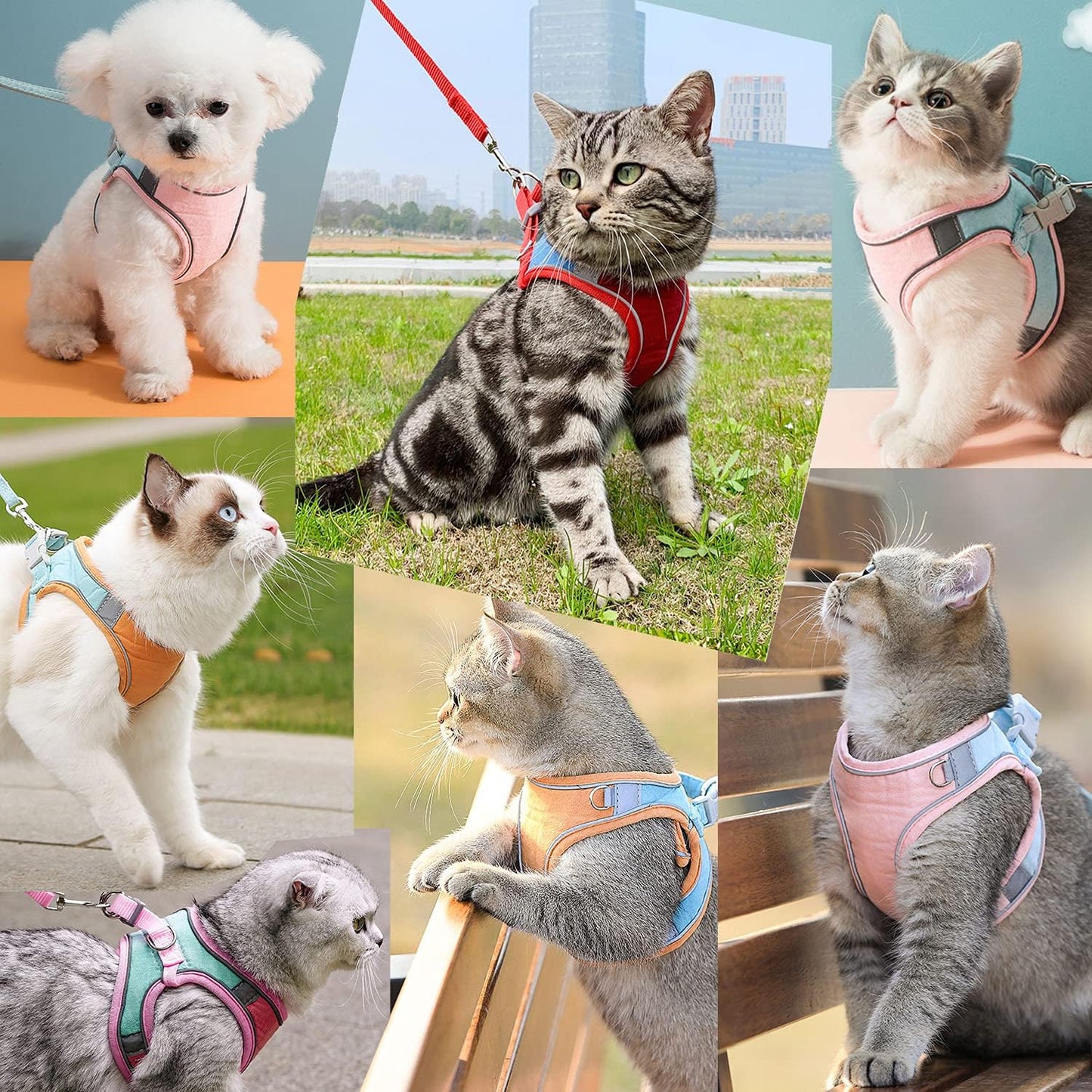 scape-Proof Cat Harness, Leash, and Collar Set | Reflective Vest Harness for Safe Walks