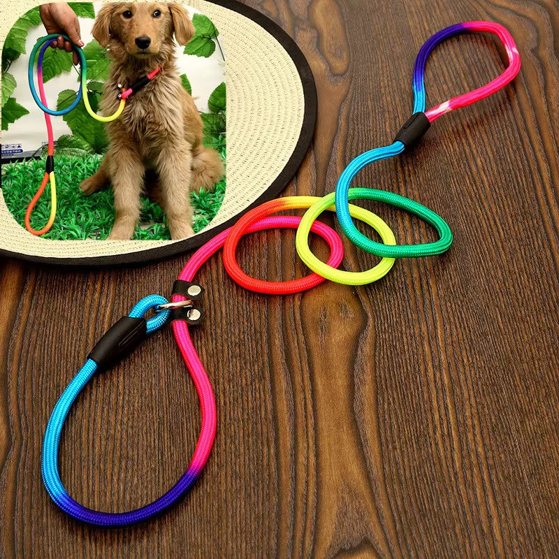 Colorful Dog Leash & Collar Set – Adjustable Nylon P-Chain Leashes for Walking and Training