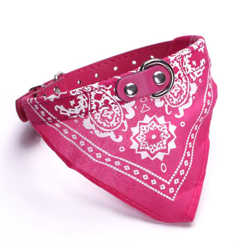  Luxury Leather Scarf Collar for Small Pets: Elevate Your Pet’s Style!