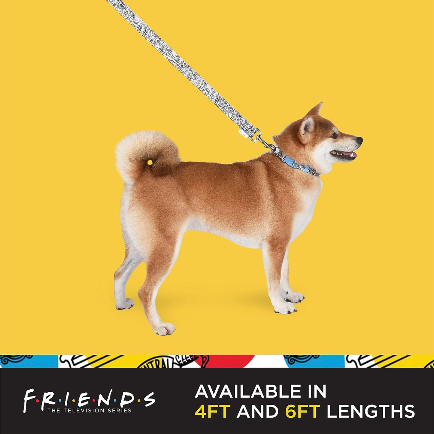 City Doodle 4 Ft Dog Leash – Cute & Durable Blue Leash, Easily Attaches to Any Collar or Harness. Perfect for All Dogs!