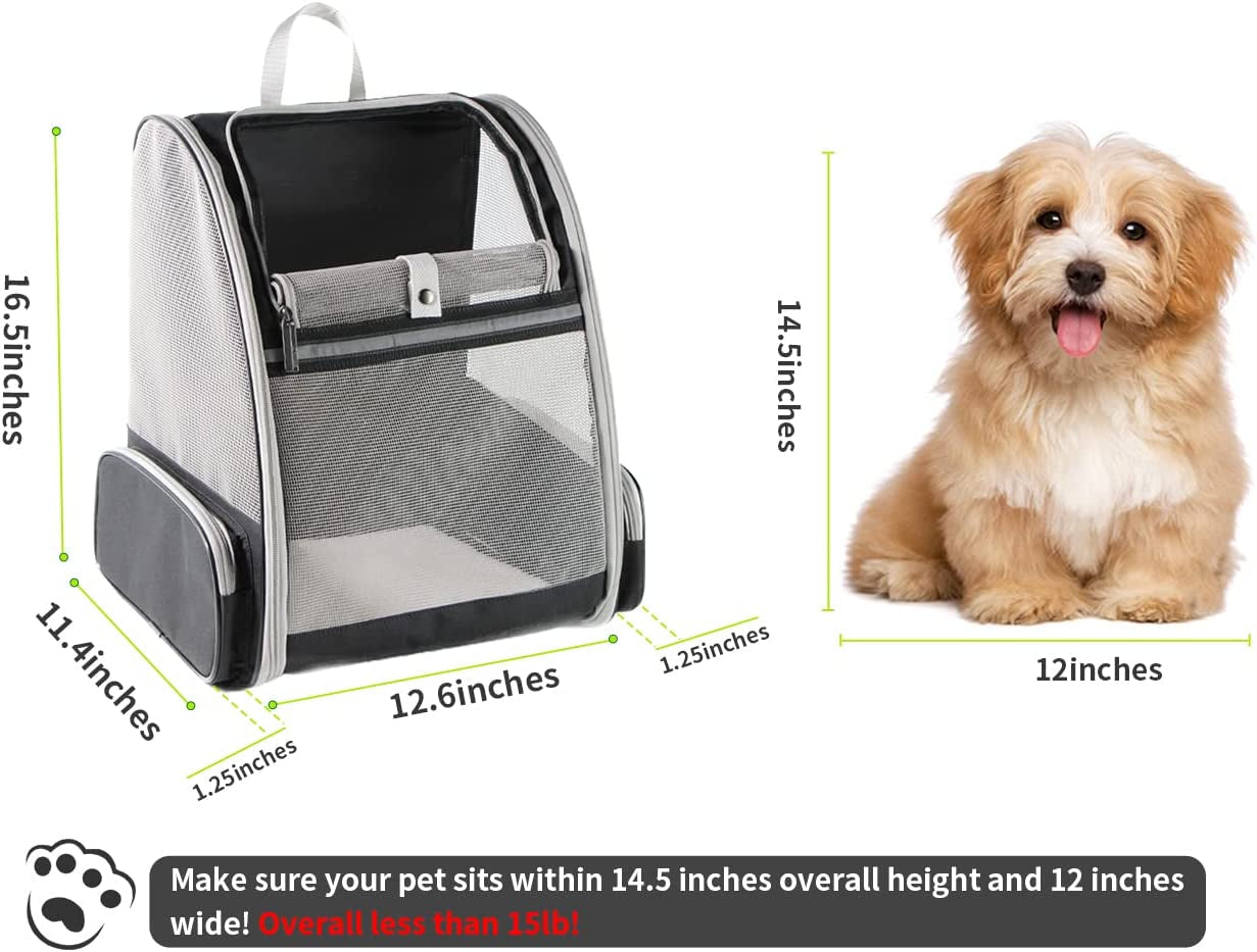 Paws & Adventures: The Ultimate Bubble Backpack Pet Carrier