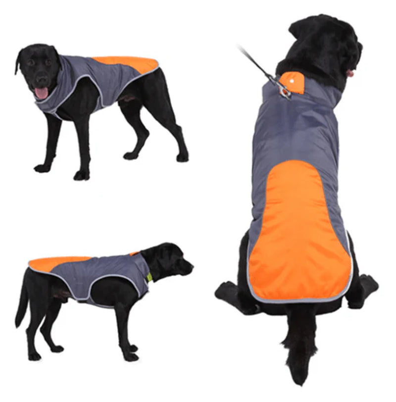 Reflective Pet Safety Jacket – High-Visibility Vest for Safe Walks and Outdoor Adventures