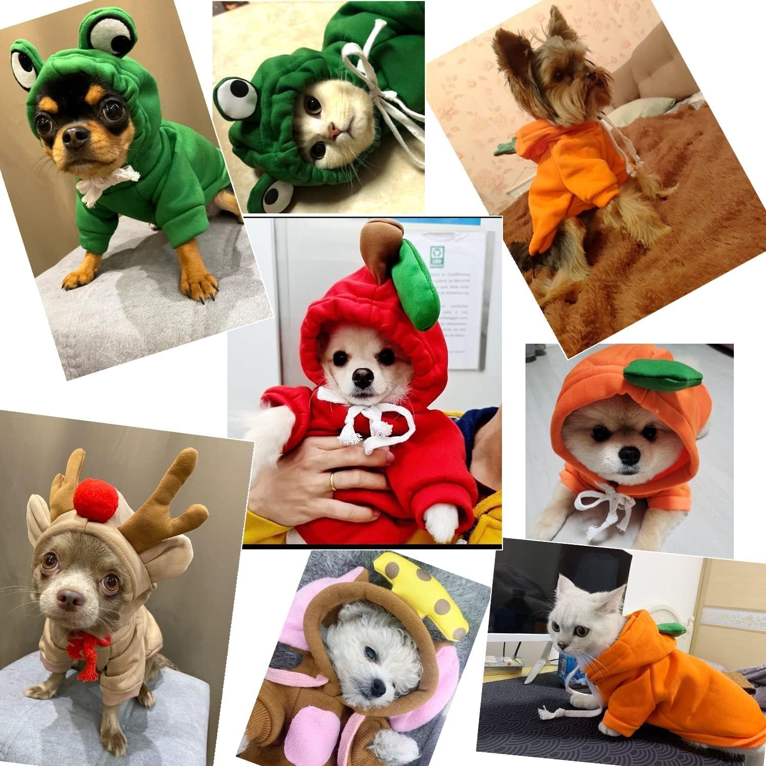 Cute Animal Shape Cold Weather Costume Outfit for dogs