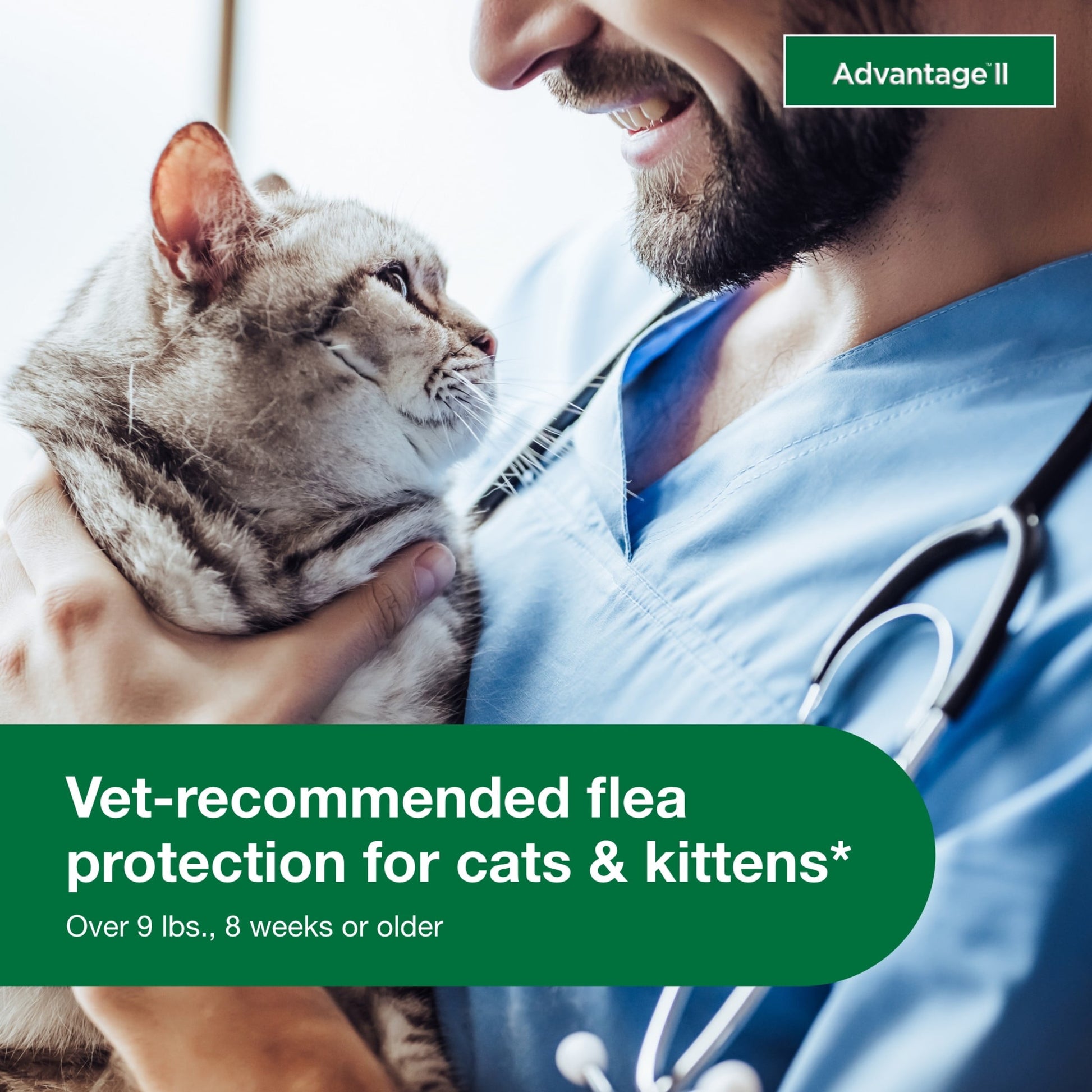 Vet-Recommended Flea Prevention for Large Cats 9 Lbs+ -4-Monthly Treatments