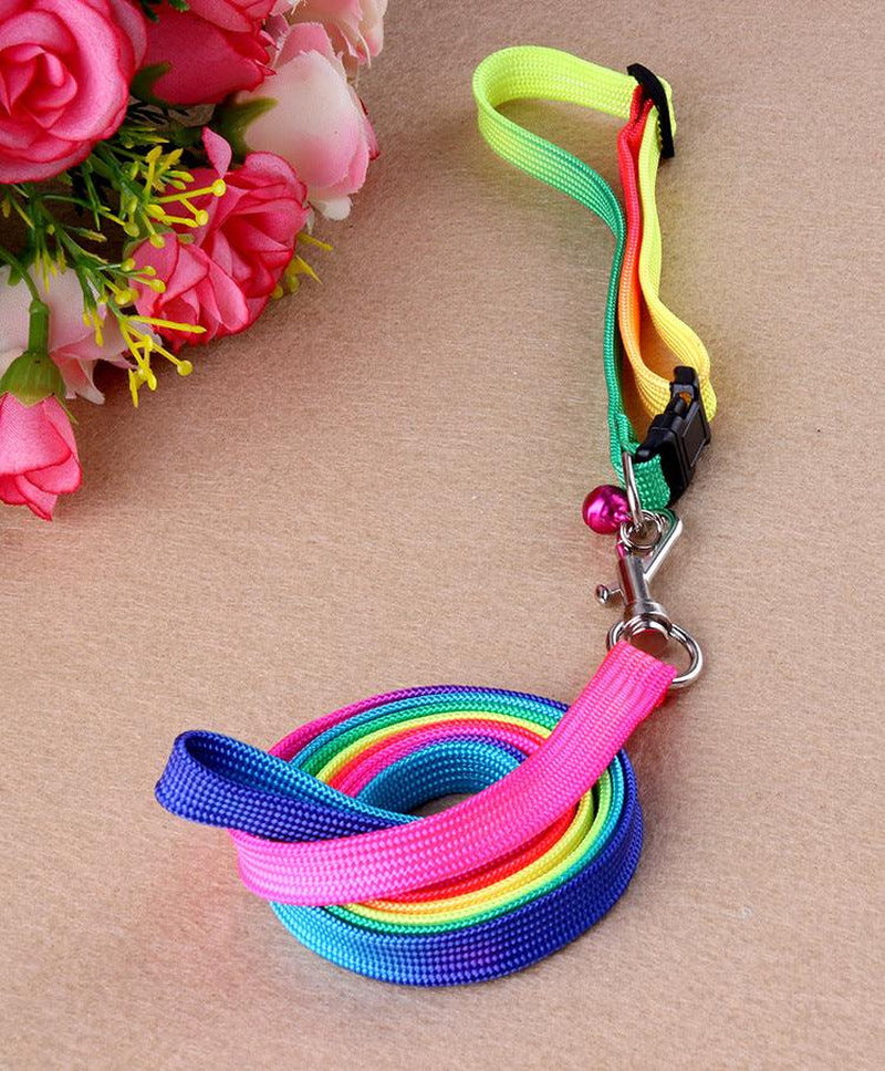 Rainbow Round Cat Collar & Leash | Durable & Stylish Cat Leash for Outdoor Adventures