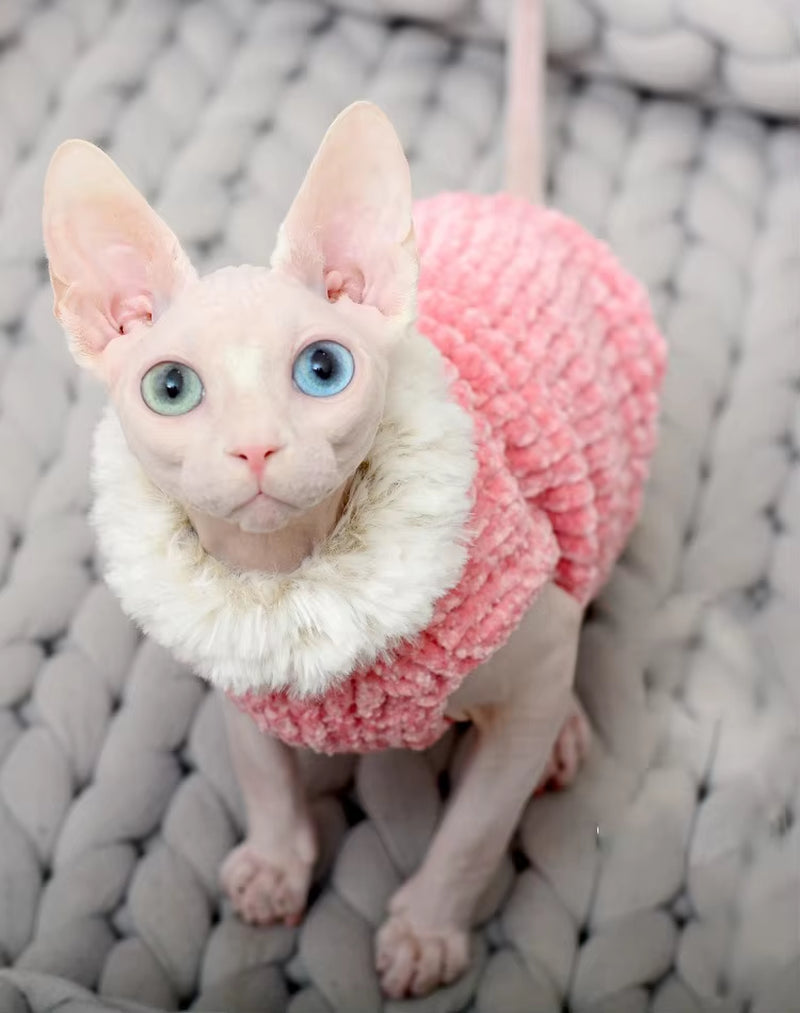 Cat Clothes Winter Warm Handmade Knitted Sweater 