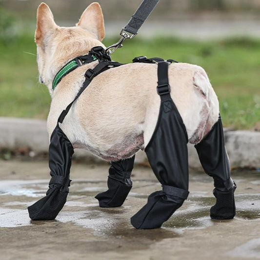 Ultimate Paw Protection: Suspender Dog Boots for All-Weather Comfort & Secure Fit