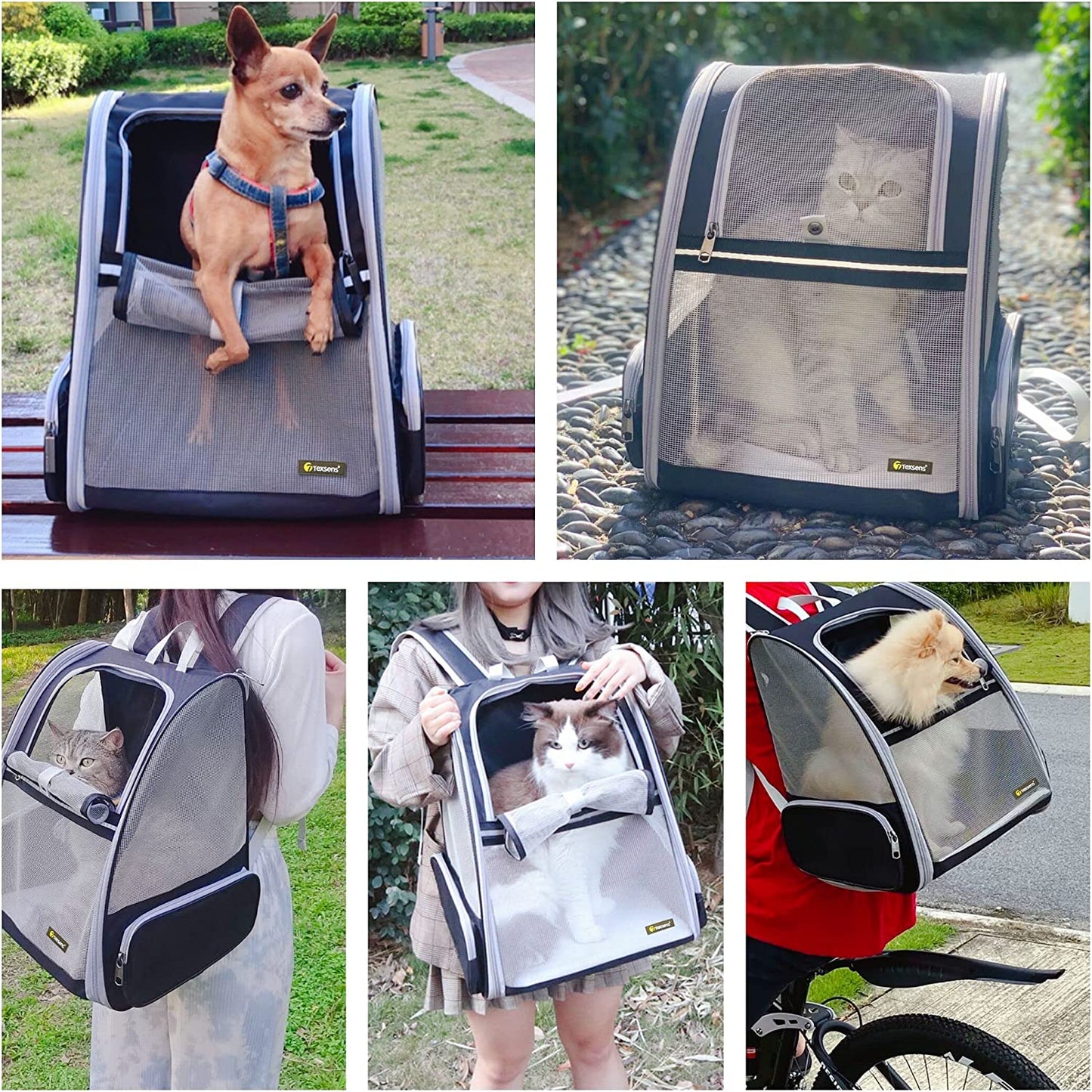 Paws & Adventures: The Ultimate Bubble Backpack Pet Carrier