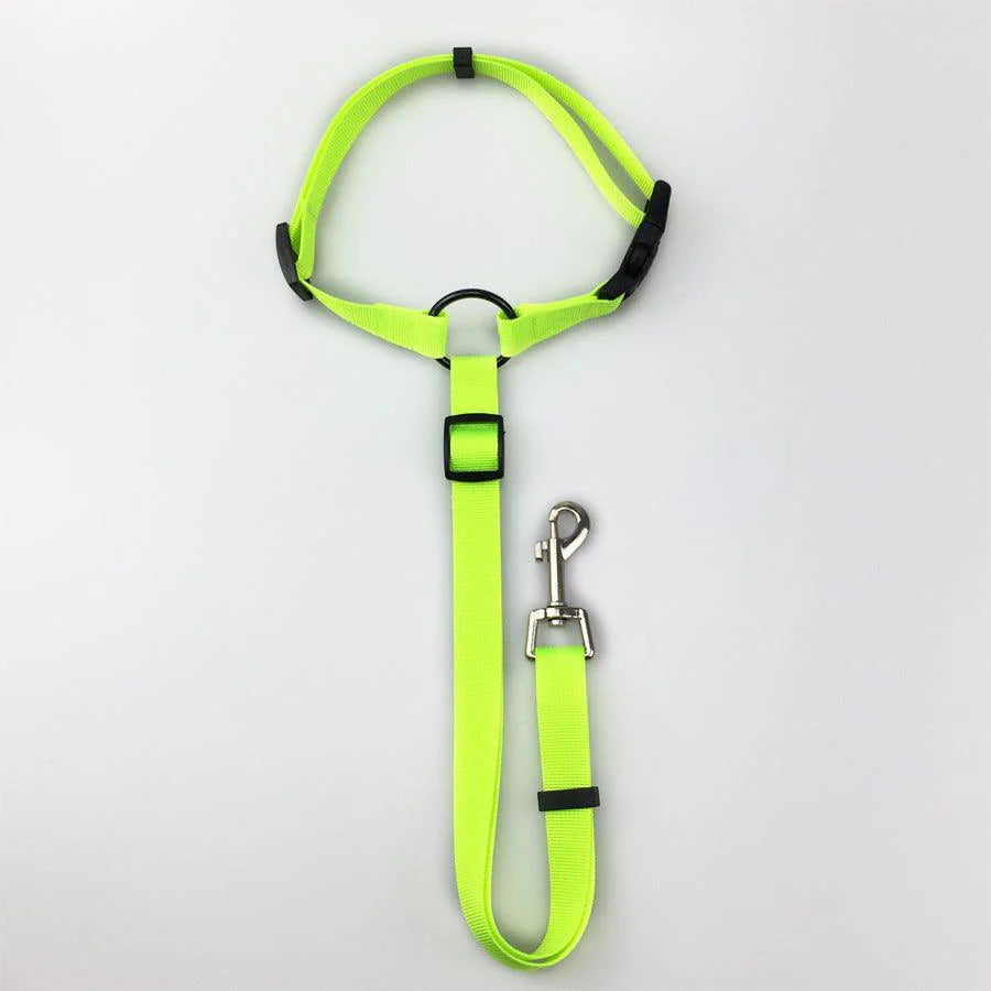 Secureflex Pet Safety Leash – Ultimate Control for Every Adventure!