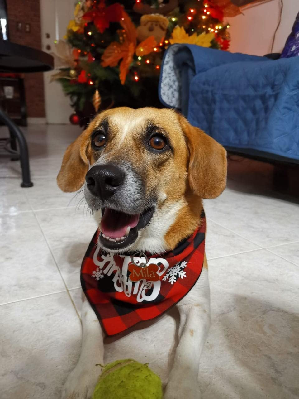 Dog Christmas Bandana: Classic Buffalo Plaid for Festive Furry Friends!