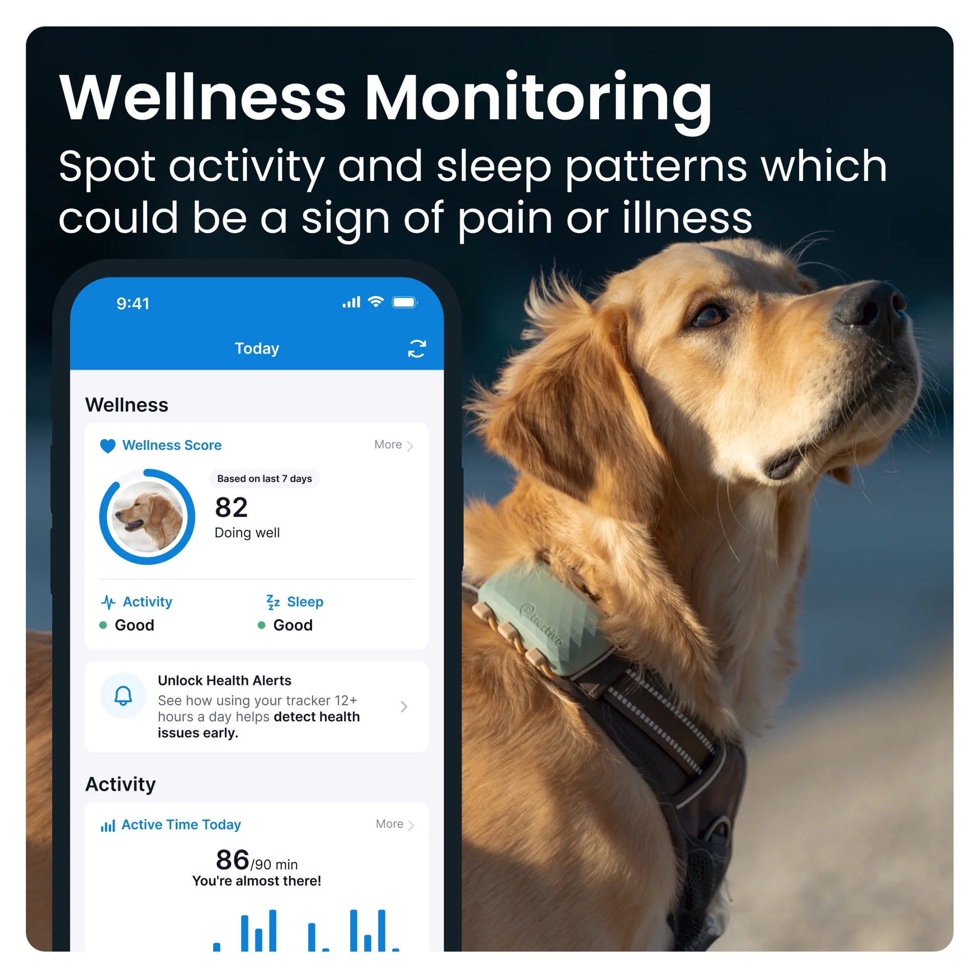 Stay Connected: XL Dog GPS Tracker with Activity Monitoring in Green