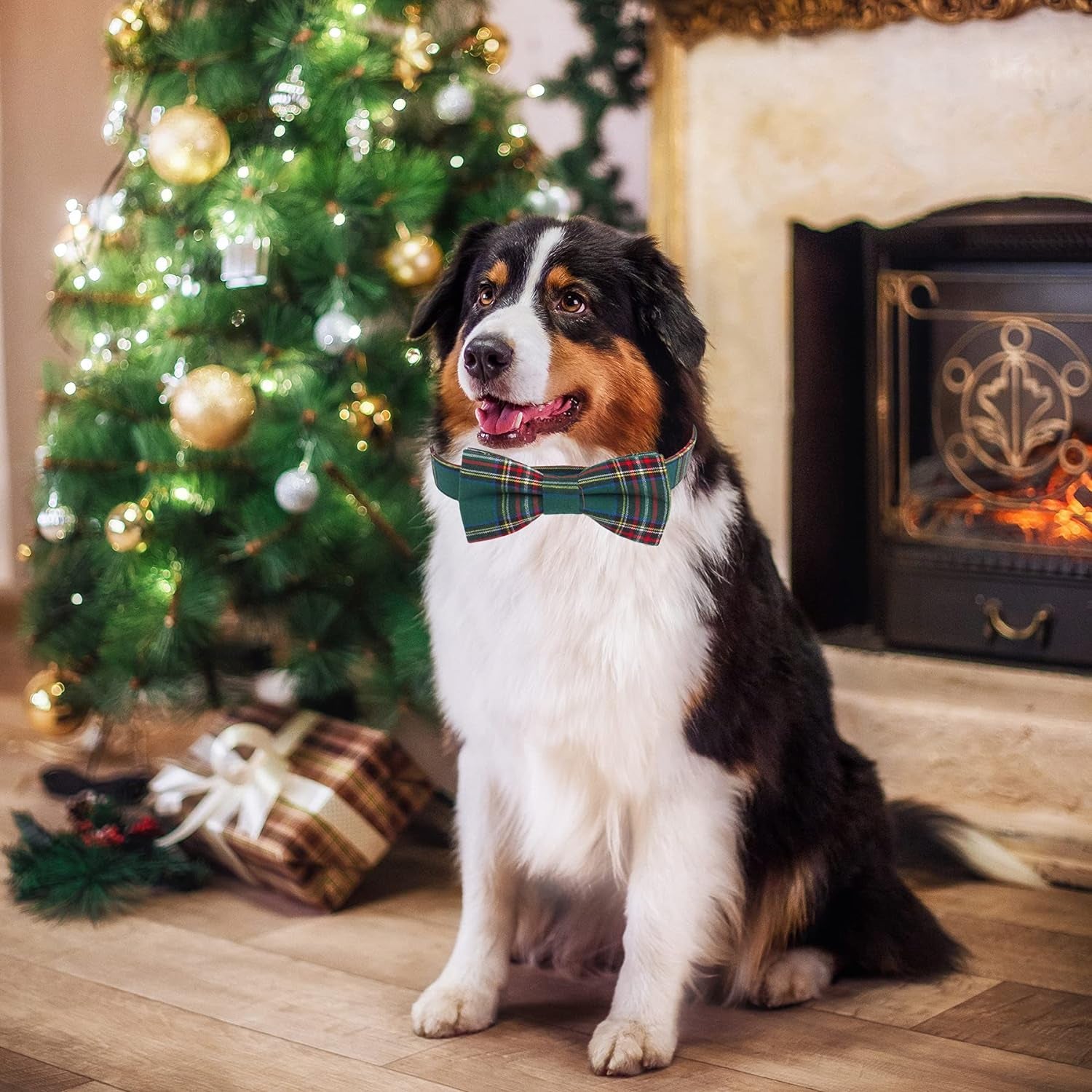 Adjustable Christmas Dog Collar with Bowtie – Plaid Red & Green Collars for Large Dogs