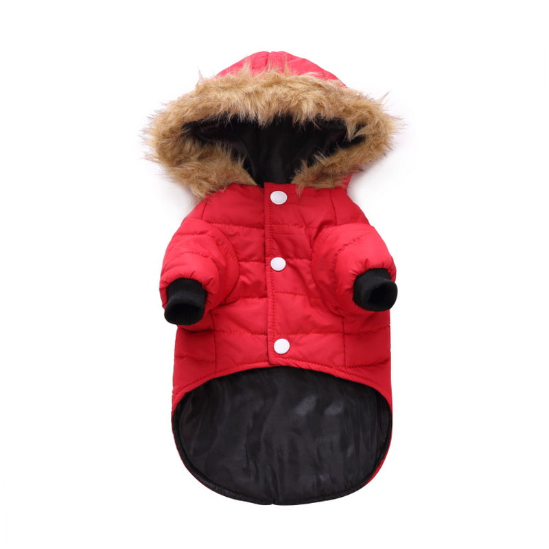 Cozy Up Your Pet: Stylish Winter Clothing Collection for Pets