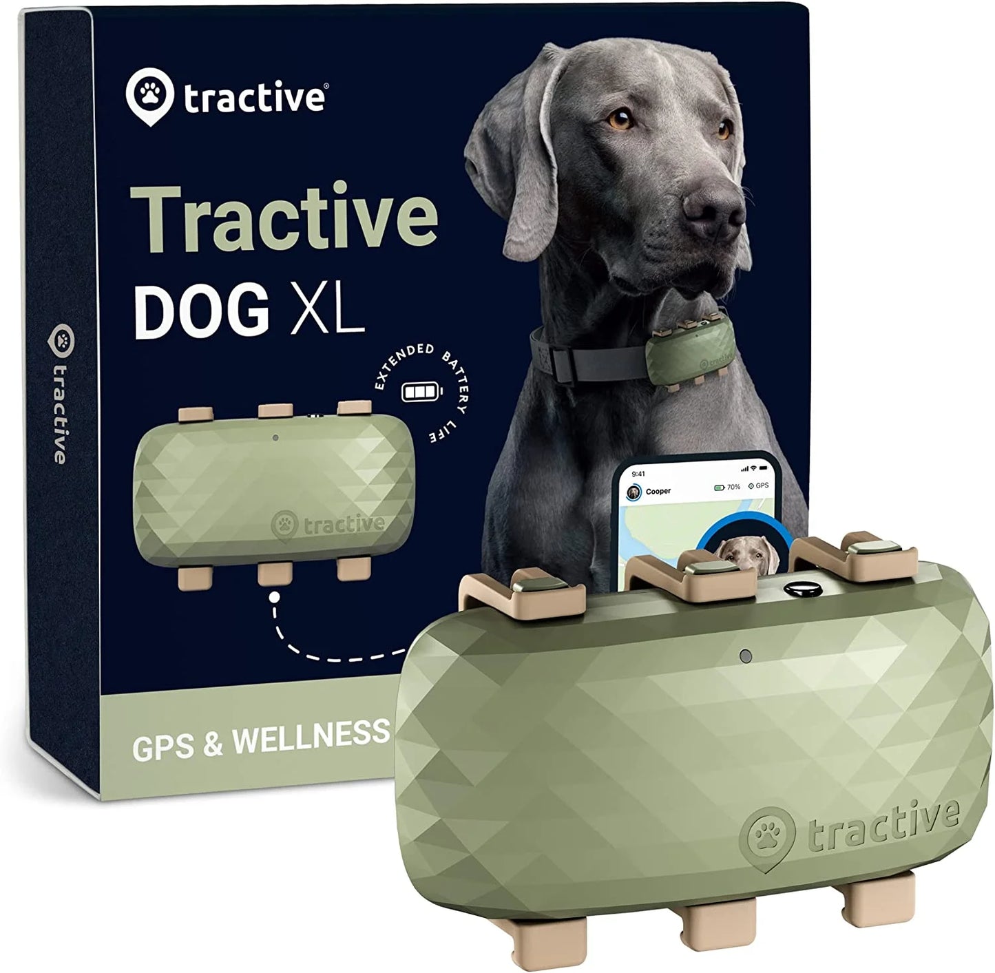 Stay Connected: XL Dog GPS Tracker with Activity Monitoring in Green