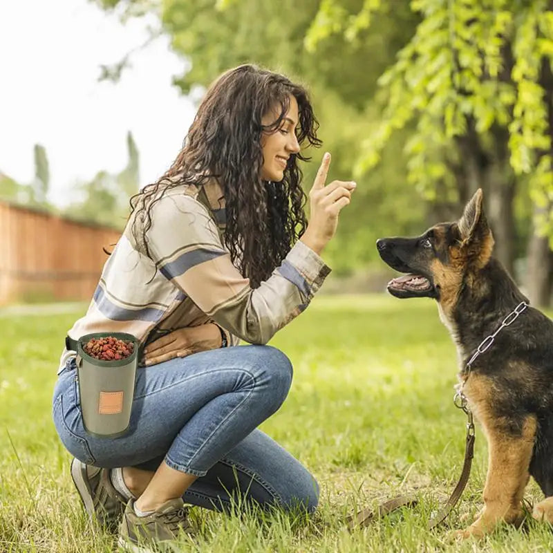 Portable Dog Training Snack Bag – Waist Bag for Treats, Rewards, and Puppy Feeding Supplies