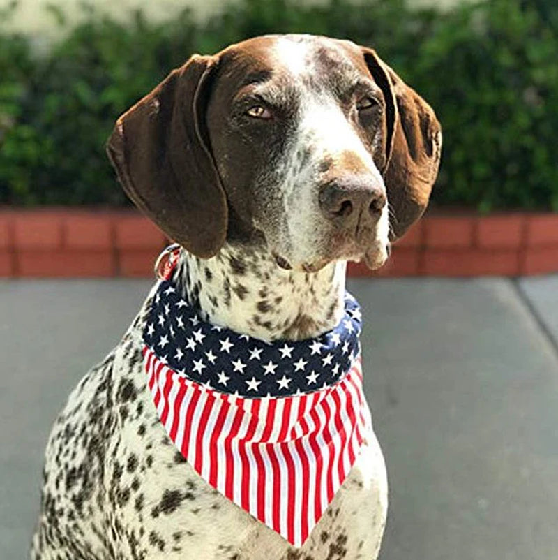 Classical Reversible Cotton Bandana for dogs