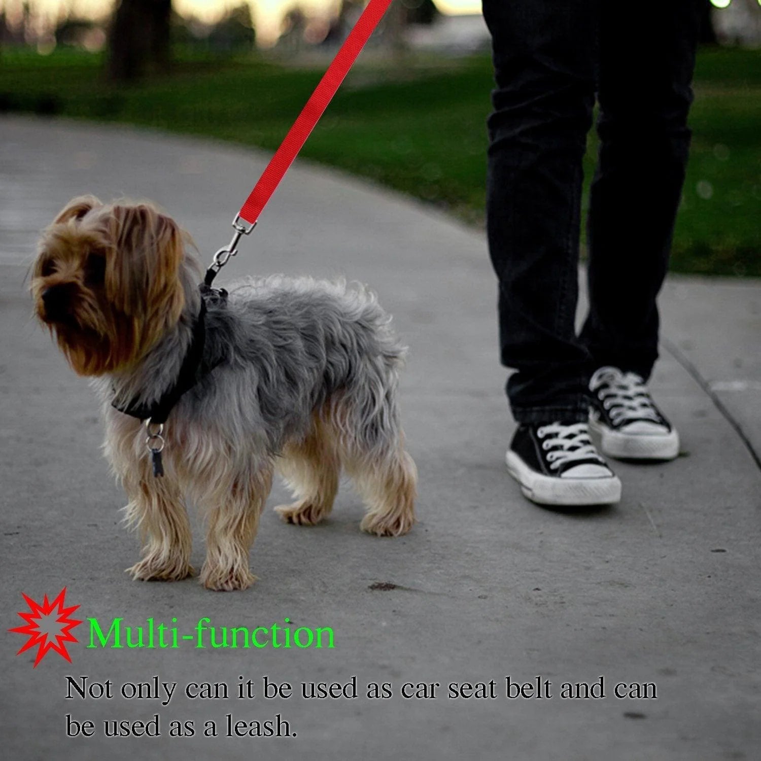 Secureflex Pet Safety Leash – Ultimate Control for Every Adventure!