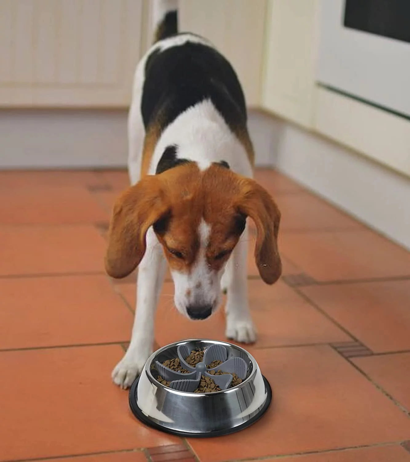 Suction Insert Feeder Dog Bowl – Secure & Stable Feeding Solution for Dogs