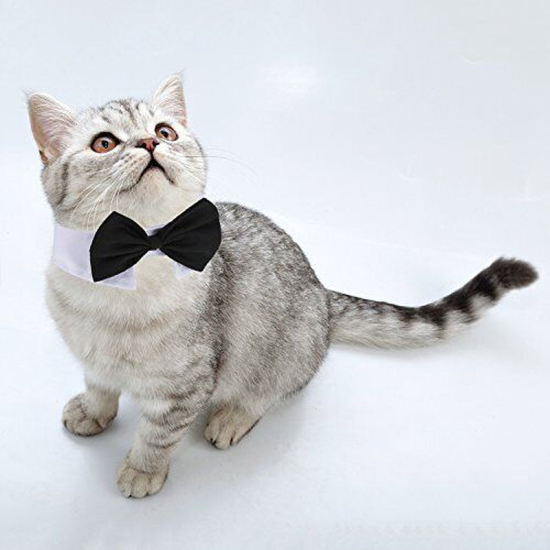 3-Pack Pet Tuxedo Collar Bow Tie – Stylish Wedding Necktie Costume for  Dogs! Perfect for Special Occasions!