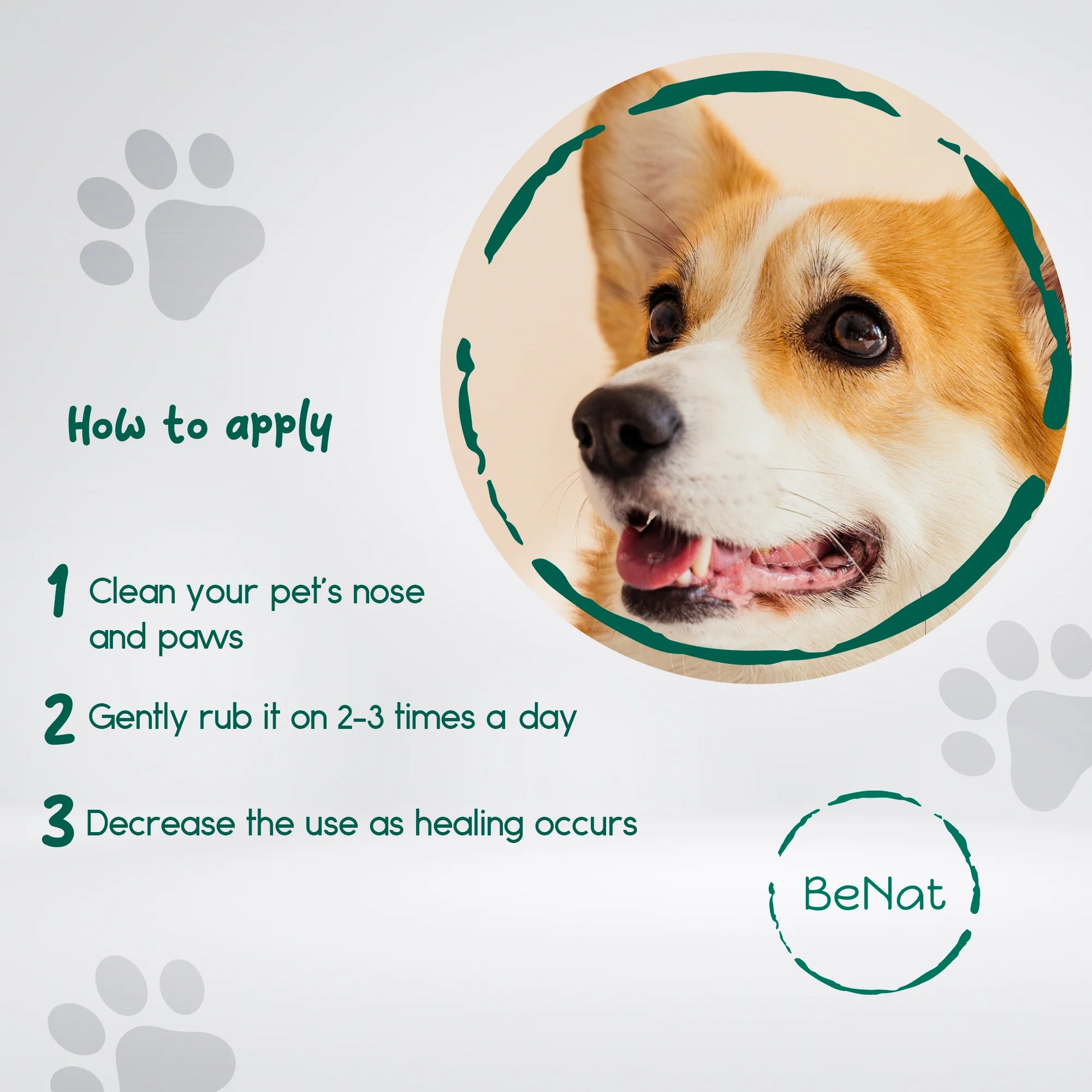  Benat Pets: Ultimate Pet Grooming Essentials