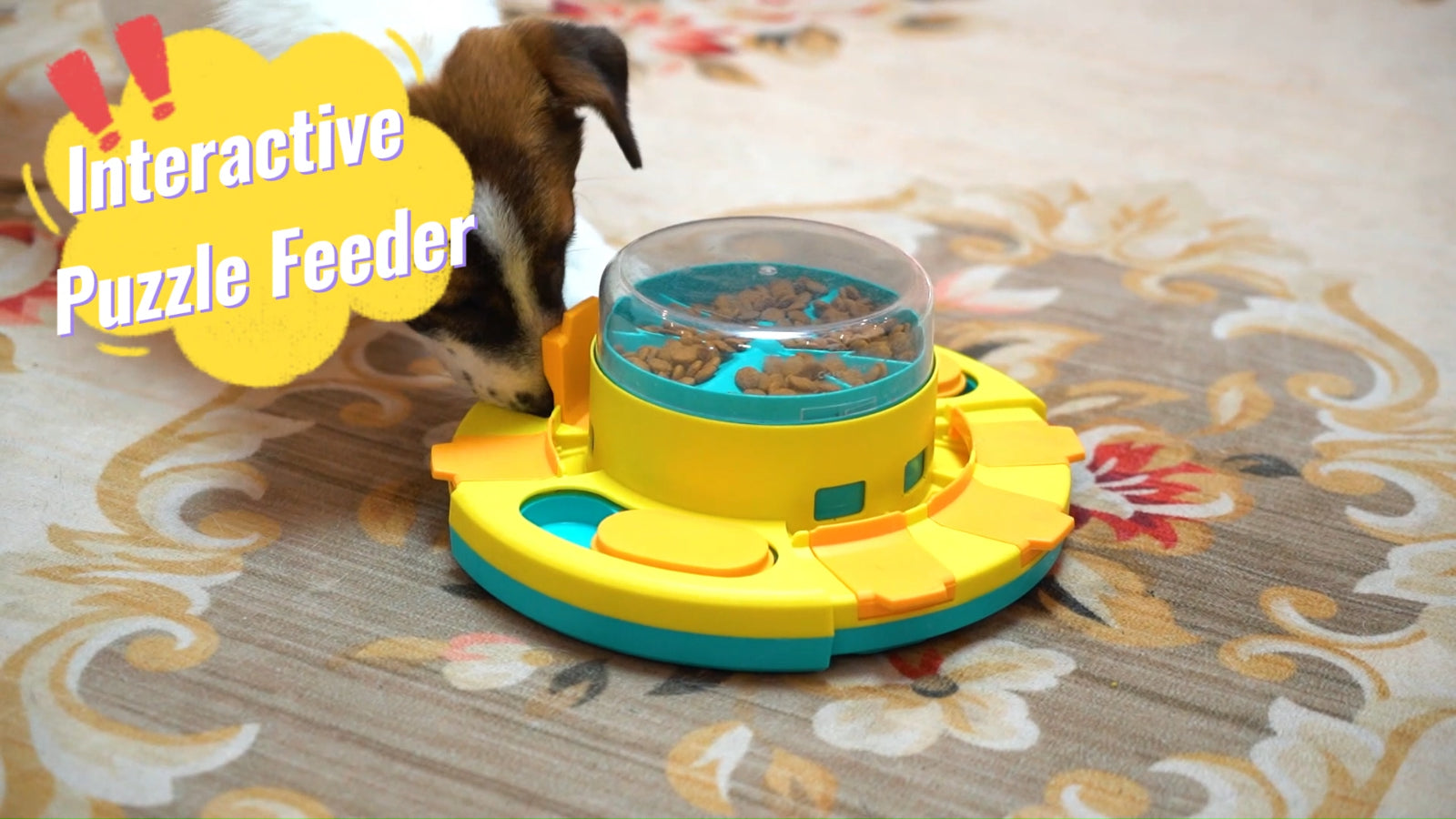 Dogs Puzzle Toy Enrichment Pet Slow Feeder Dispenser for Food and Treat 