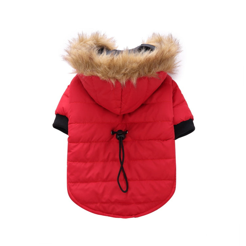 Cozy Up Your Pet: Stylish Winter Clothing Collection for Pets