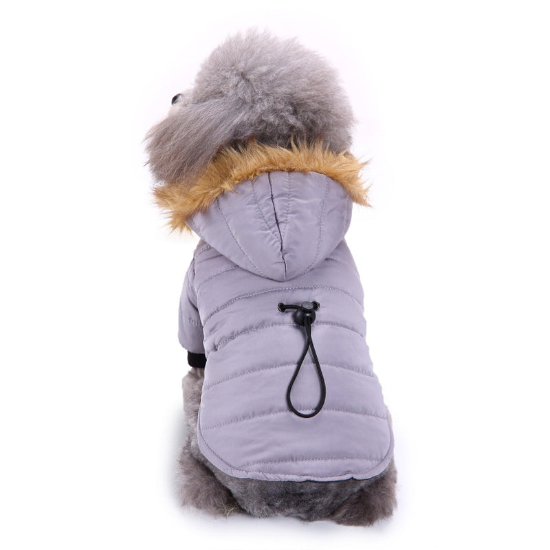 Cozy Up Your Pet: Stylish Winter Clothing Collection for Pets