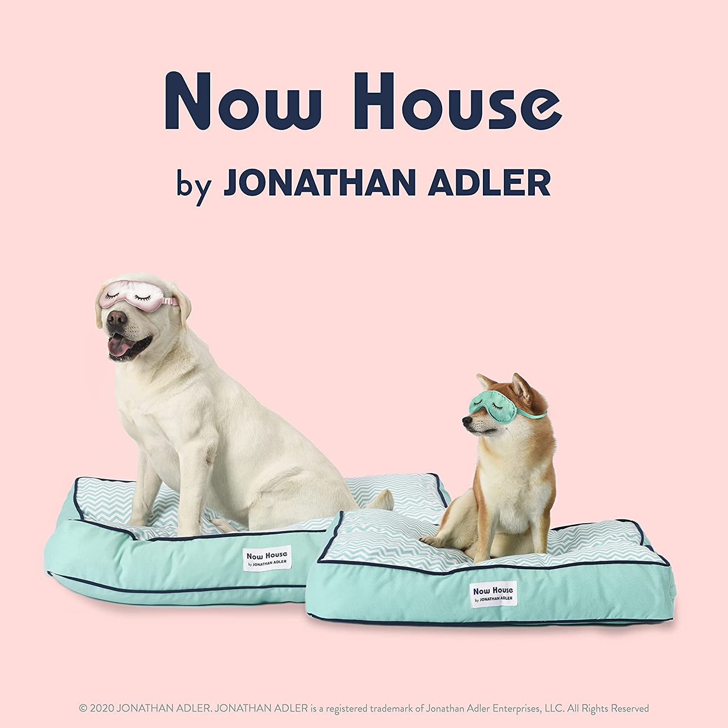 Now House for Pets by Jonathan Adler – Teal Chevron Cushion Dog Bed for Medium Dogs | Washable & Stylish Design