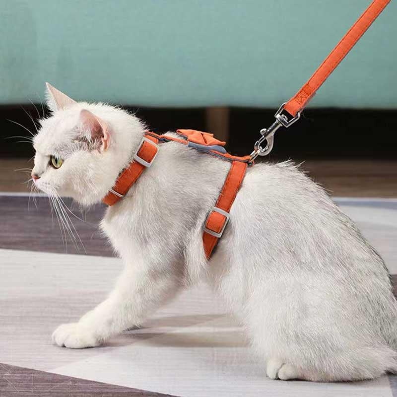 Colorful Cotton-Filled Cat Leash & Collar with Bow Detail