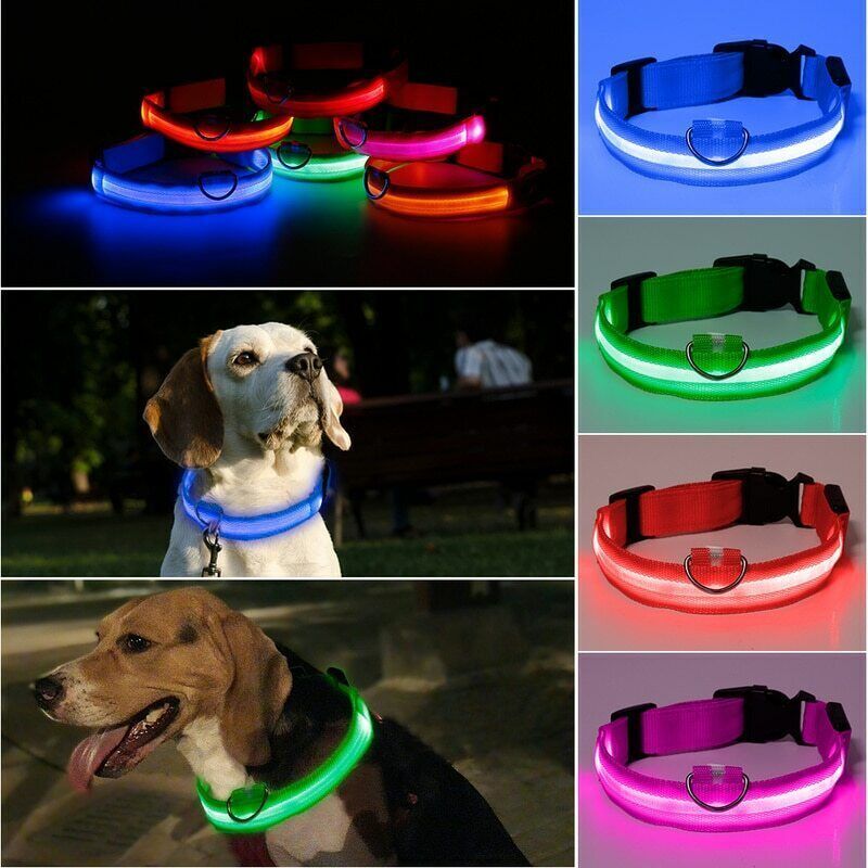 Illuminate Pet Safety: Rechargeable LED Dog Collar – Light Up Your Pet's Night Adventures!