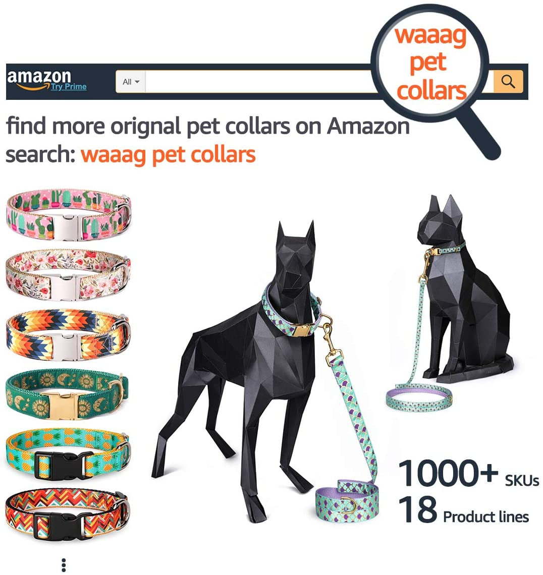 Aztec Tribal Cat Collar | Stylish and Durable Collars for Fashion-Forward Felines