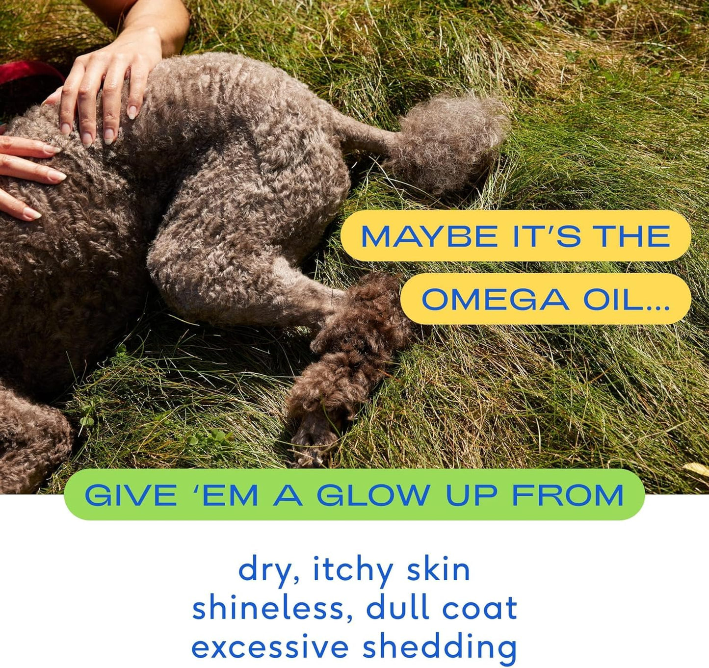 Omega 3 Fish Oil for Dogs | Wild Alaskan Salmon Oil | Supports Skin & Mobility